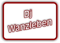 dj wanzleben