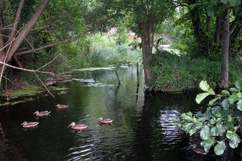 enten wasserburg gommern